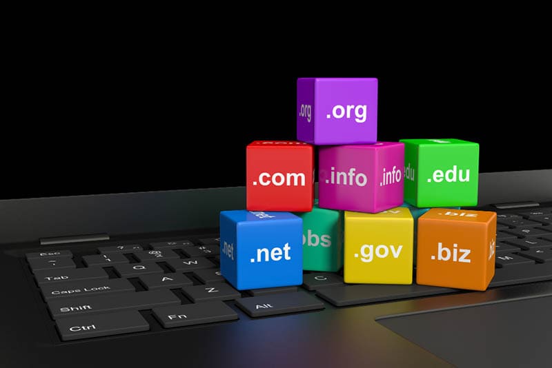 How to Find Out the Domain Owner and the Registration Date